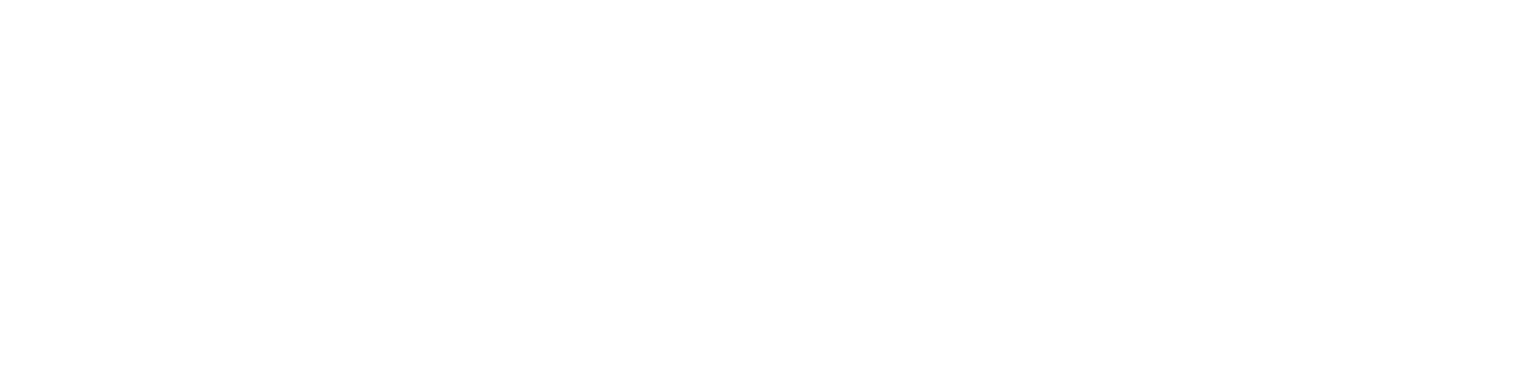 Logo Ortopedisalud White